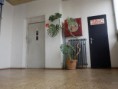 /album/fotogaleria-fotogaleria/p5200231-jpg/